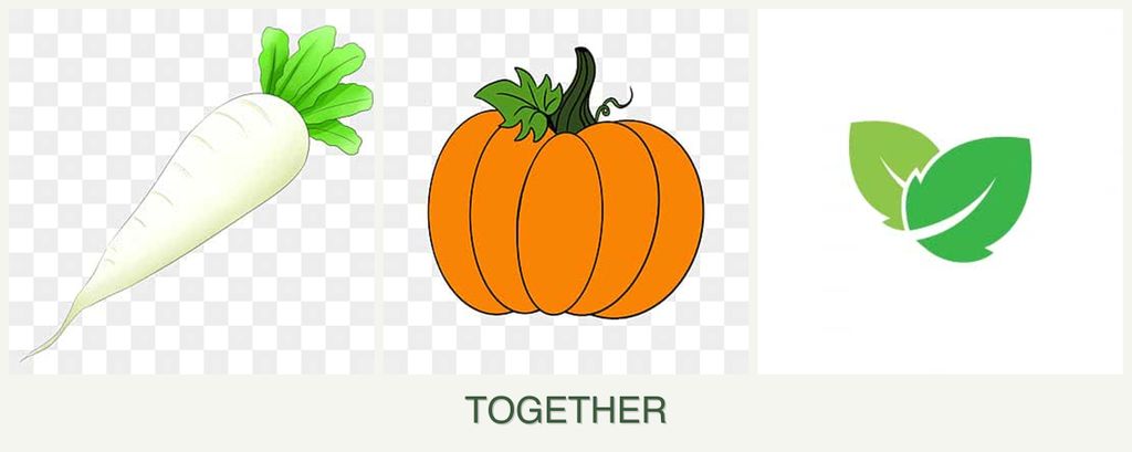 Can you plant radishes, pumpkin and mint together?