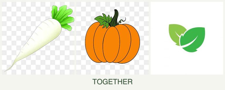 Can you plant radishes, pumpkin and mint together?