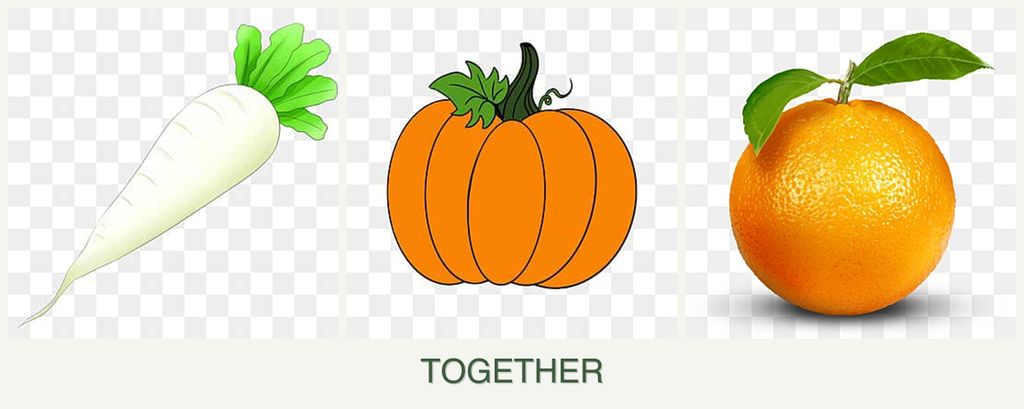 Can you plant radishes, pumpkin and oranges together?