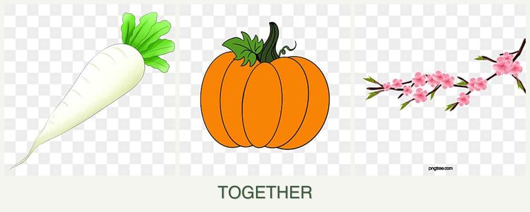 Can you plant radishes, pumpkin and peaches together?