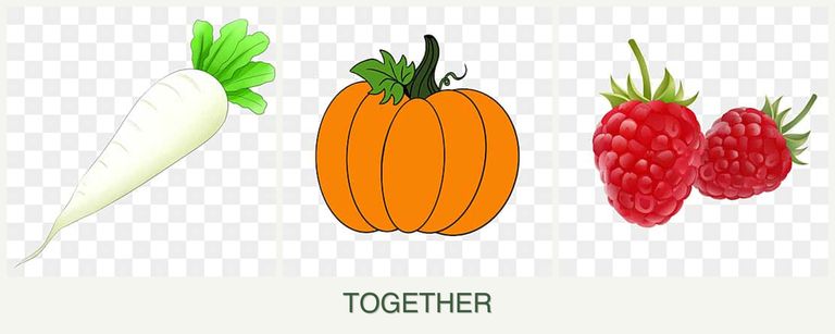 Can you plant radishes, pumpkin and raspberries together?
