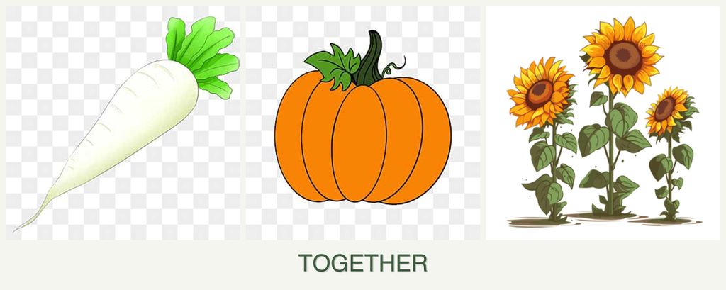 Can you plant radishes, pumpkin and sunflowers together?