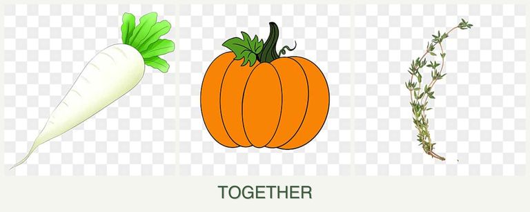 Can you plant radishes, pumpkin and thyme together?
