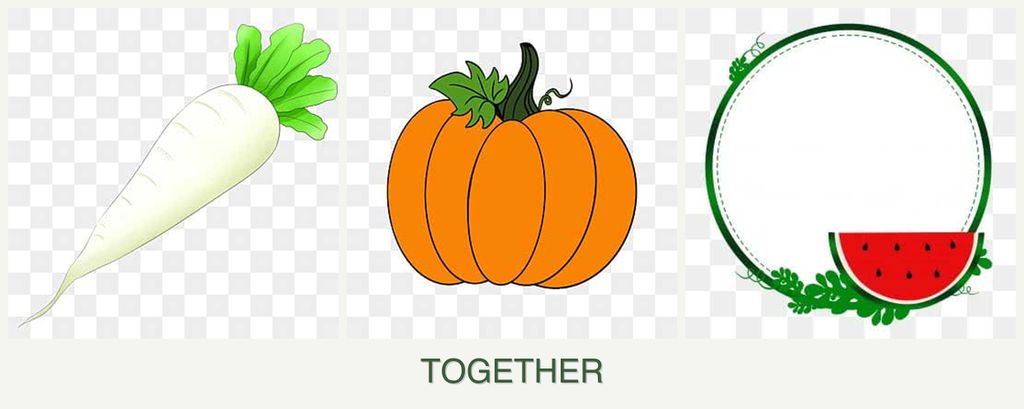 Can you plant radishes, pumpkin and watermelons together?