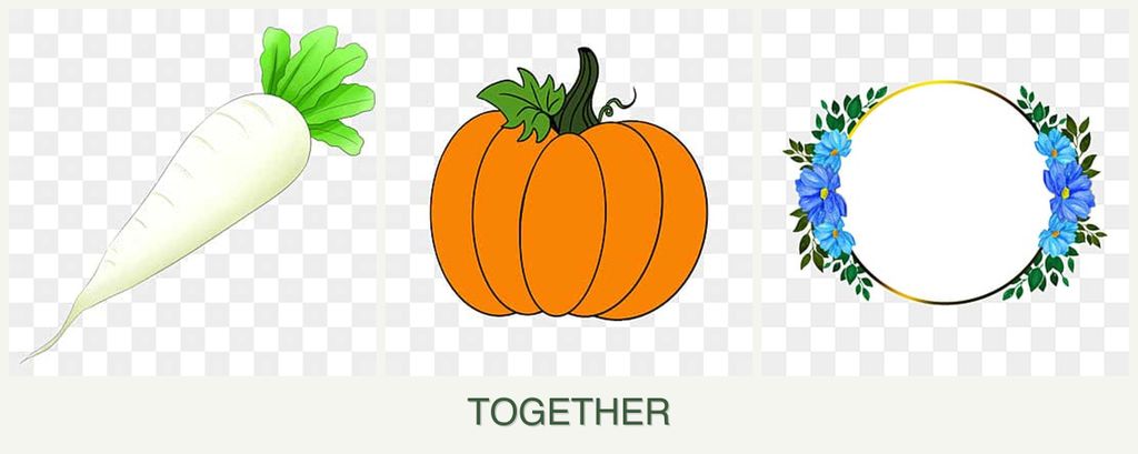 Can you plant radishes, pumpkin and zinnias together?