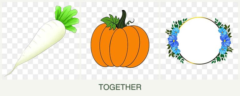 Can you plant radishes, pumpkin and zinnias together?