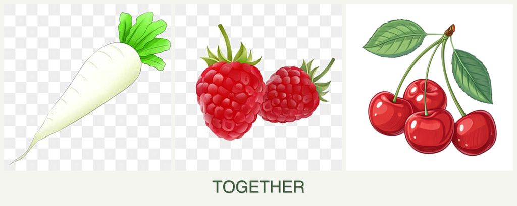 Can you plant radishes, raspberries and cherries together?