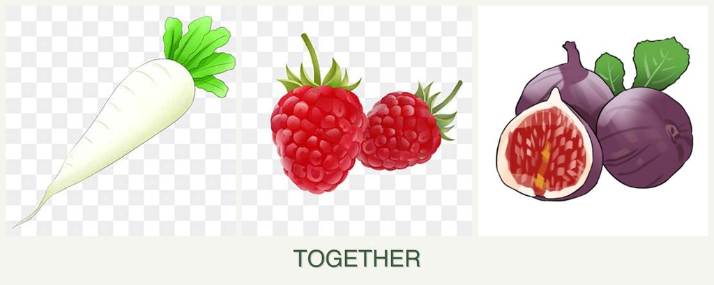 Can you plant radishes, raspberries and figs together?