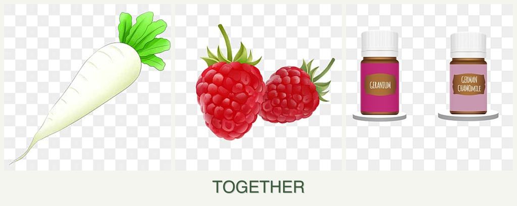 Can you plant radishes, raspberries and geraniums together?