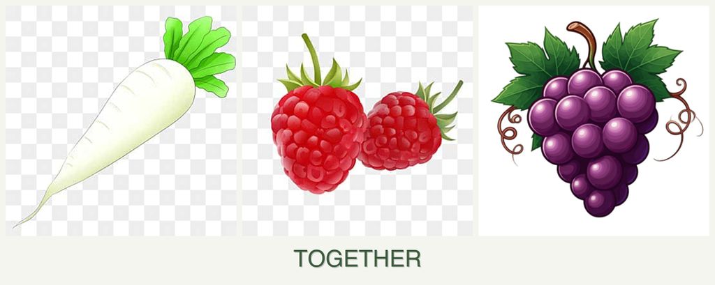 Can you plant radishes, raspberries and grapes together?