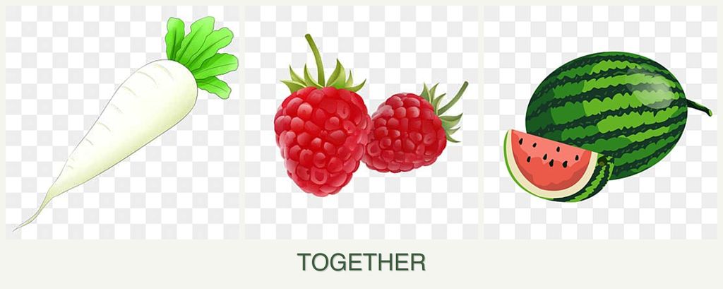 Can you plant radishes, raspberries and melons together?