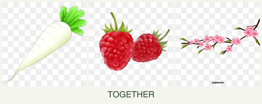 Can you plant radishes, raspberries and peaches together?