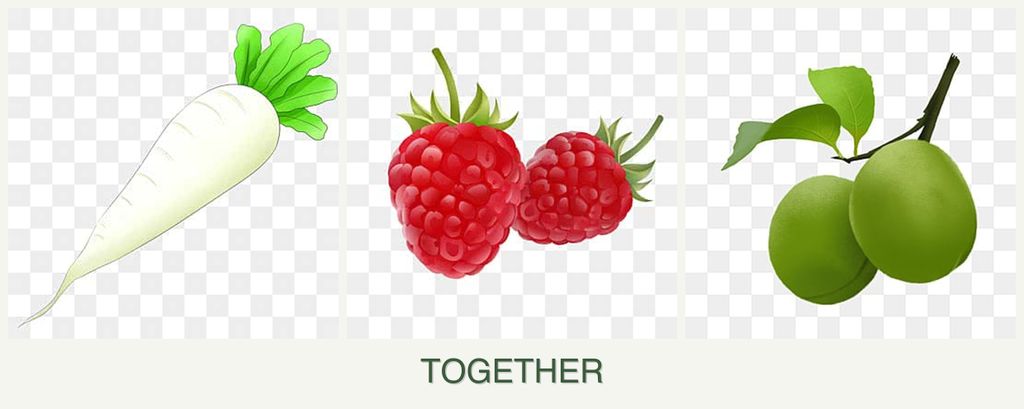 Can you plant radishes, raspberries and plums together?