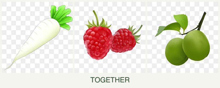 Can you plant radishes, raspberries and plums together?