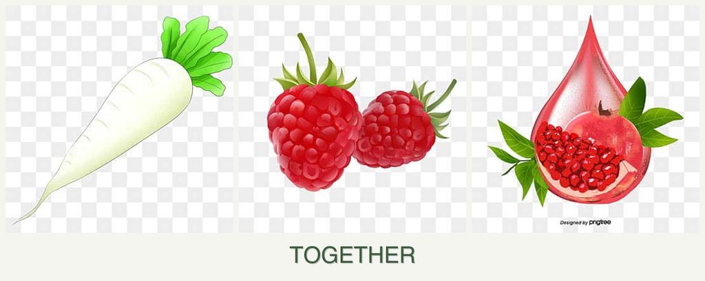 Can you plant radishes, raspberries and pomegranates together?