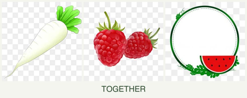 Can you plant radishes, raspberries and watermelons together?