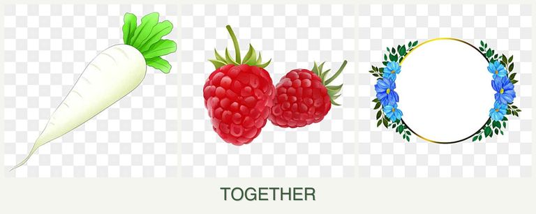 Can you plant radishes, raspberries and zinnias together?