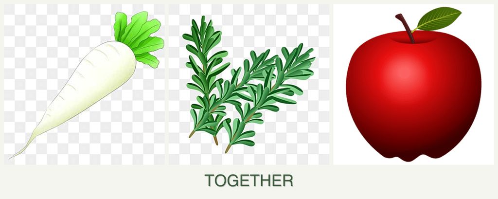 Can you plant radishes, rosemary and apples together?