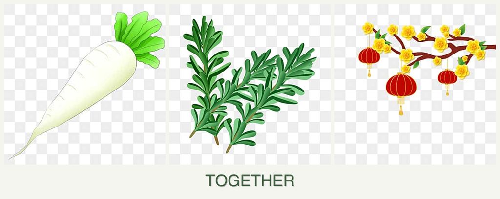 Can you plant radishes, rosemary and apricots together?