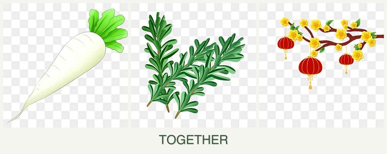 Can you plant radishes, rosemary and apricots together?