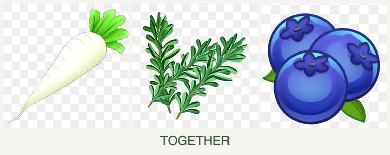 Can you plant radishes, rosemary and blueberries together?