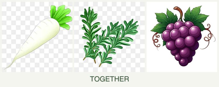 Can you plant radishes, rosemary and grapes together?