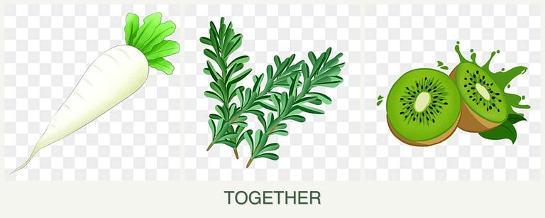 Can you plant radishes, rosemary and kiwi together?