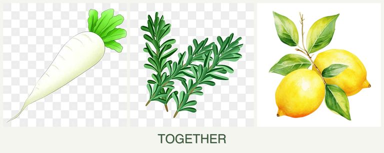 Can you plant radishes, rosemary and lemons together?