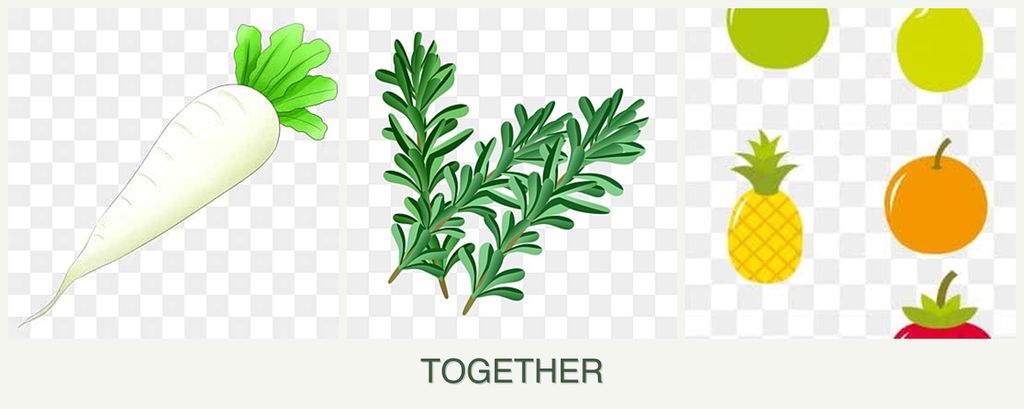 Can you plant radishes, rosemary and pears together?
