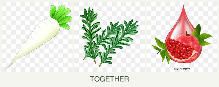 Can you plant radishes, rosemary and pomegranates together?