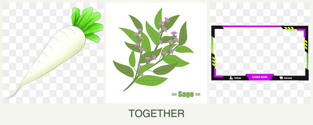 Can you plant radishes, sage and limes together?