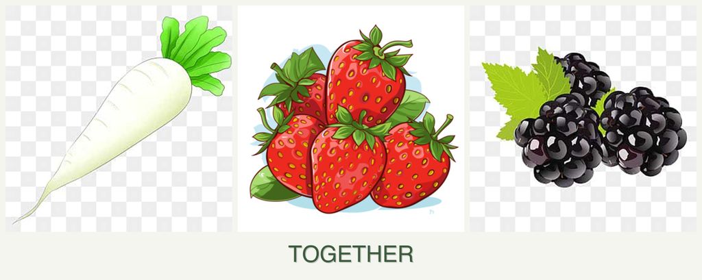 Can you plant radishes, strawberries and blackberries together?