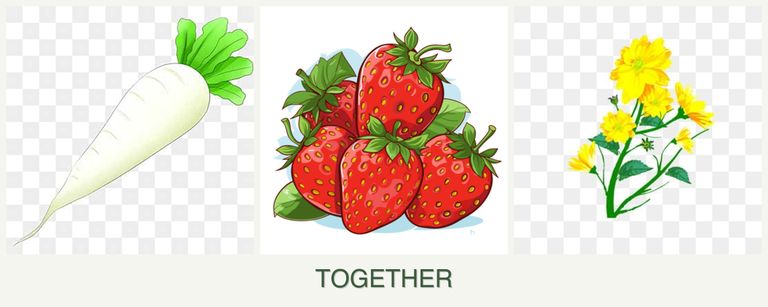 Can you plant radishes, strawberries and calendula together?