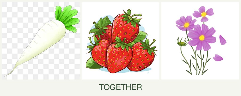 Can you plant radishes, strawberries and cosmos together?