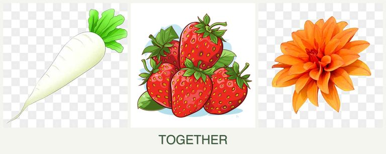 Can you plant radishes, strawberries and dahlias together?
