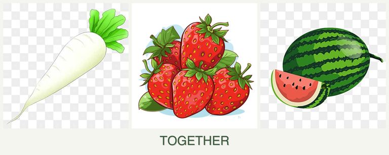 Can you plant radishes, strawberries and melons together?