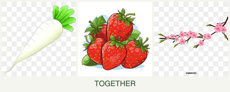 Can you plant radishes, strawberries and peaches together?