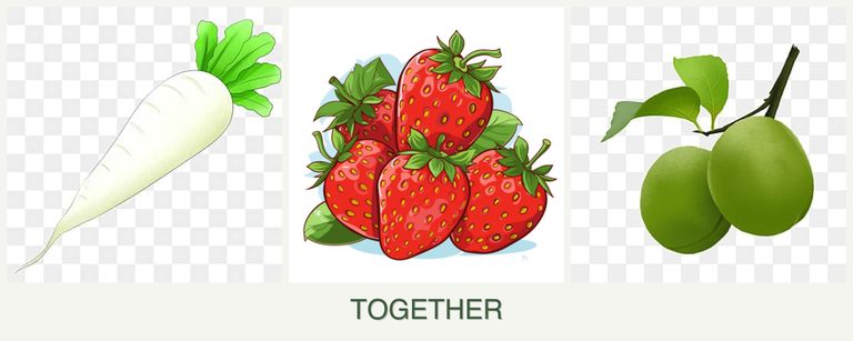 Can you plant radishes, strawberries and plums together?