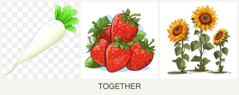 Can you plant radishes, strawberries and sunflowers together?