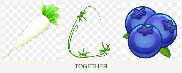 Can you plant radishes, tarragon and blueberries together?