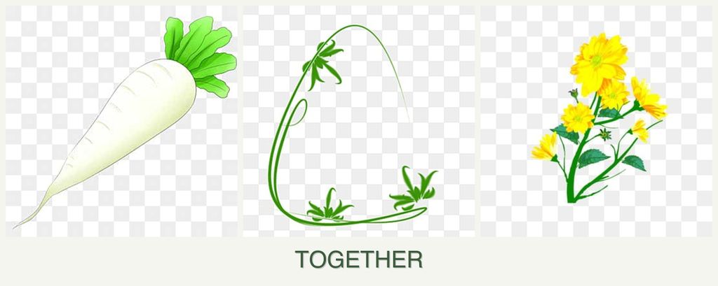 Can you plant radishes, tarragon and calendula together?