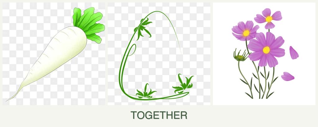 Can you plant radishes, tarragon and cosmos together?