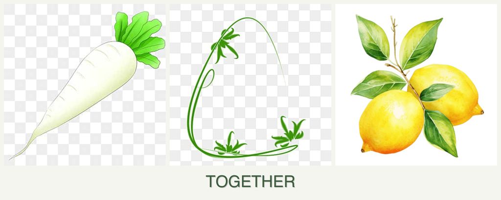 Can you plant radishes, tarragon and lemons together?