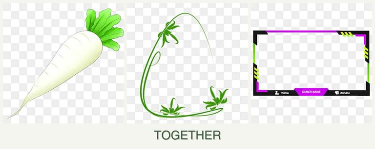 Can you plant radishes, tarragon and limes together?