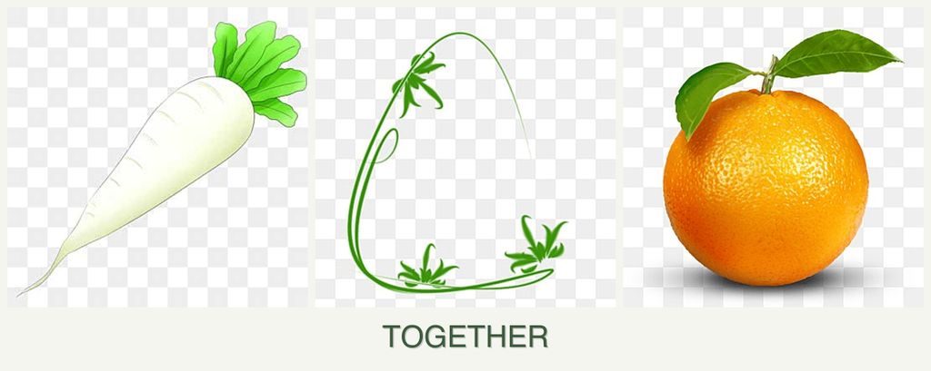 Can you plant radishes, tarragon and oranges together?