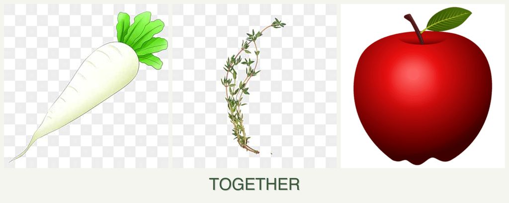 Can you plant radishes, thyme and apples together?