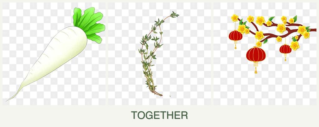 Can you plant radishes, thyme and apricots together?