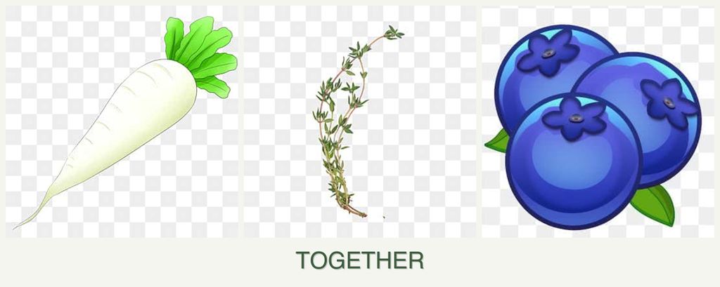 Can you plant radishes, thyme and blueberries together?