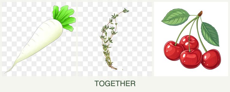 Can you plant radishes, thyme and cherries together?