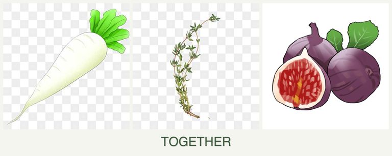 Can you plant radishes, thyme and figs together?